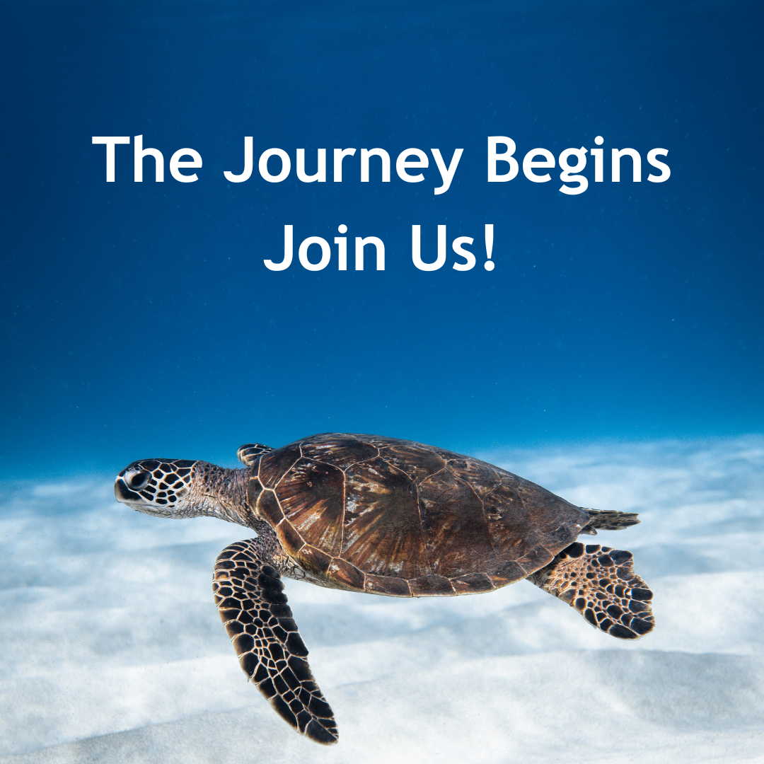 Join Us on the Journey to Global Wellness